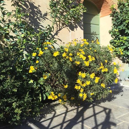 فيلا Casa Mita Con Pacchetto Mare Incluso كامايوري المظهر الخارجي الصورة